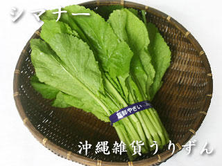 沖縄の代表的な葉野菜シマナー（島菜）