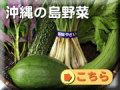 沖縄の島野菜を販売